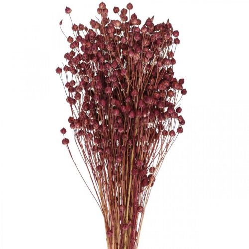 Artikel Tørt Græs Tørret Hør Gammel Pink H50–55cm 80g