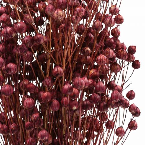 Artikel Tørt Græs Tørret Hør Gammel Pink H50–55cm 80g