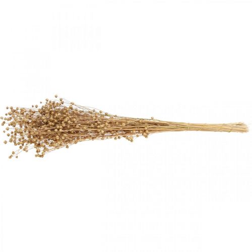 Floristik24 Tørret Græs Tørret Hør Natur H50-55cm 80g
