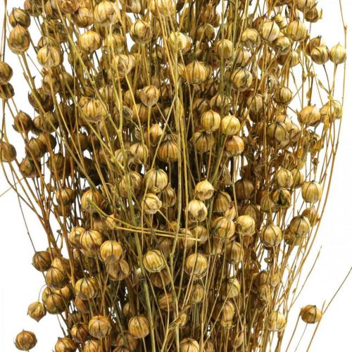 Artikel Tørret græs Tørret hør Olivengrøn H50–55cm 80g
