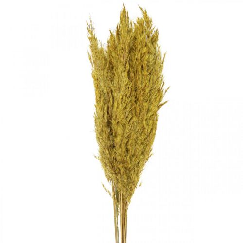 Floristik24 Tørret græshvirvel deco tørret gul 70cm 10p