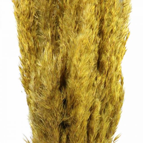 Artikel Tørret græshvirvel deco tørret gul 70cm 10p
