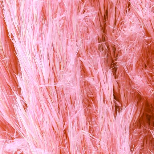 Artikel Tørret græs Rivgræs Tørret dekorativt græs Pink 70cm 10 stk.