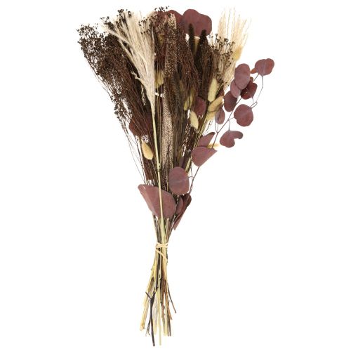 Floristik24 Tør buket eukalyptus tørt græs buket 60cm 120g