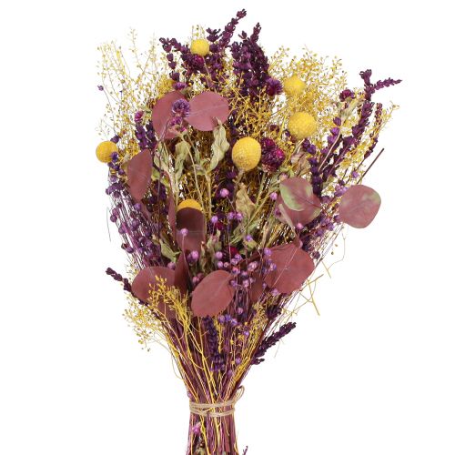 Artikel Tør buket gul lilla grøn craspedia eucalyptus 53cm 150g