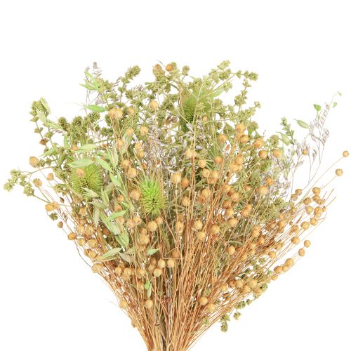 Floristik24 Tør buket af teasels havre hør mynte naturlig hvid 40cm 80g