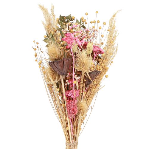 Floristik24 Tør buket lotus hør tidsel pink creme 50cm 100g
