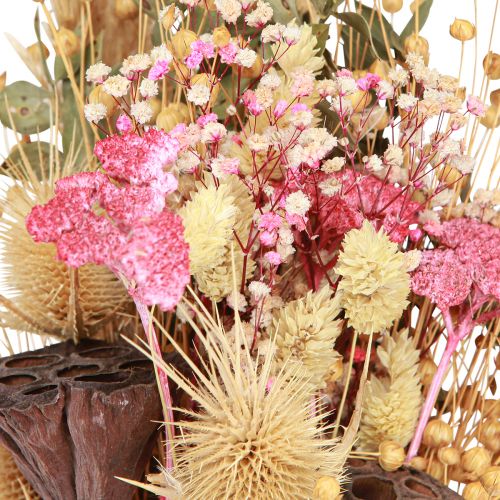 Floristik24 Tør buket lotus hør tidsel pink creme 50cm 100g