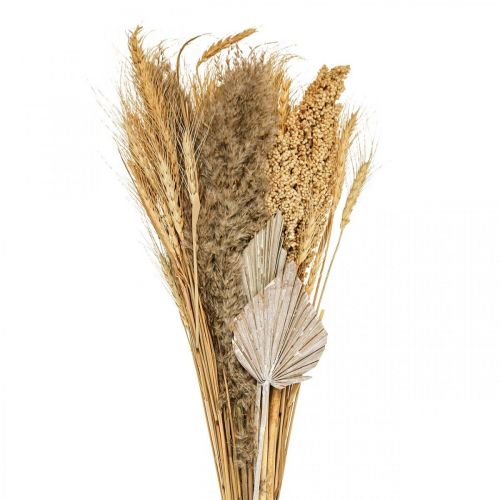 Floristik24 Tør buket af tørt græs bundt korn natur, hvid 74cm