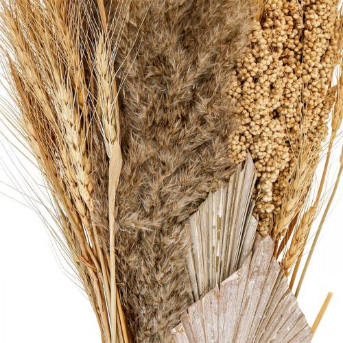 Floristik24 Tør buket af tørt græs bundt korn natur, hvid 74cm