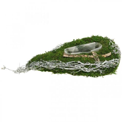 Floristik24 Plantekasse dråbemos, vin erindringsblomst 40x20cm