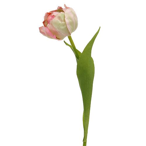 Tulipanrosa, grøn 37cm 6stk