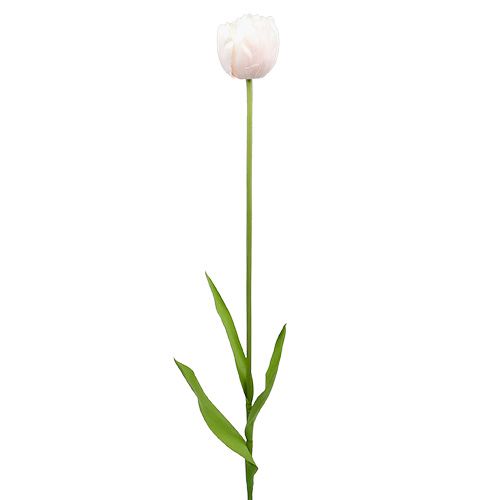 Floristik24 Tulipan hvid-pink 86cm 3stk