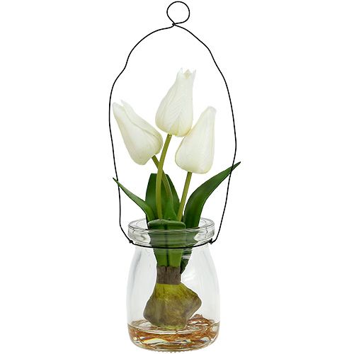 Tulipan hvid i et glas H21cm 1p