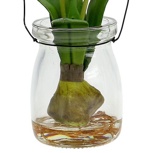 Floristik24 Tulipan hvid i et glas H21cm 1p