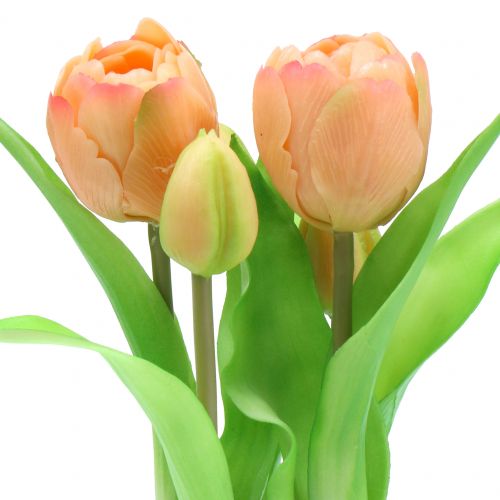 Floristik24 Tulipan fersk-fersken ferskenfarver 23 cm