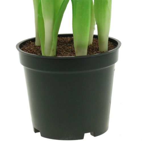Artikel Kunstige blomster i potte Kunstige tulipaner Pink Gul 22,5 cm