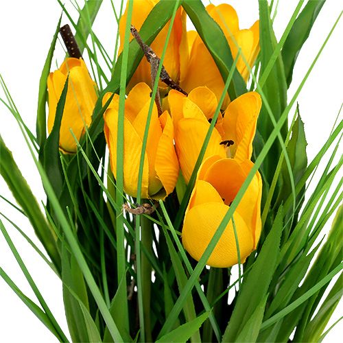 Floristik24 Tulipaner i gul potte 30cm