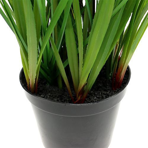 Floristik24 Tulipaner i gul potte 30cm