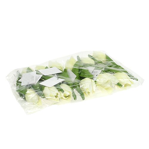 Floristik24 Forårsdekoration, kunstige tulipaner, silkeblomster, dekorative tulipaner grøn/creme 12 stk.