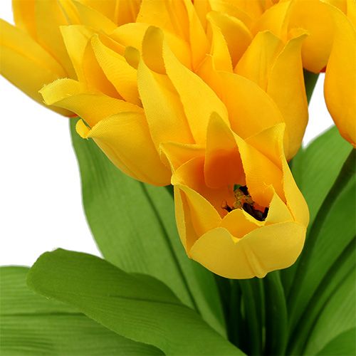 Floristik24 Tulipanbusk Gul H30cm
