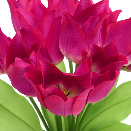 Floristik24 Tulipanbusk pink L 30cm