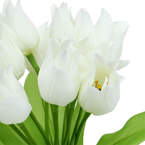 Floristik24 Tulipanbusk hvid 30cm