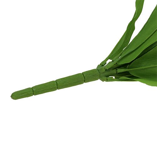 Floristik24 Tulipanbusk hvid 30cm