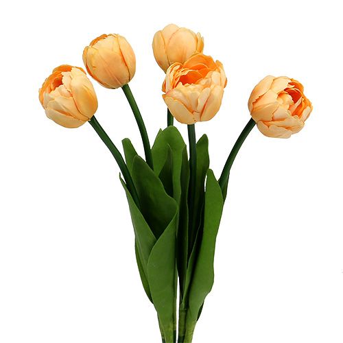 Floristik24 Tulipanbuket abrikos 43cm