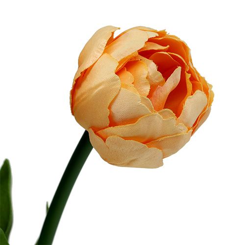 Floristik24 Tulipanbuket abrikos 43cm