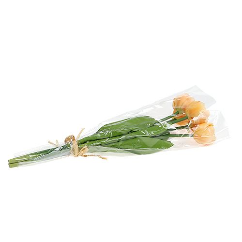 Floristik24 Tulipanbuket abrikos 43cm