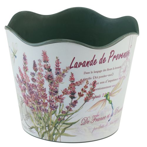 Artikel Plantekasse plast lavendel urtepotte Ø13,5cm H12cm
