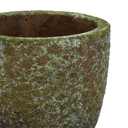 Floristik24 Overdækket mosegrå, grøn Ø14cm H14cm 2stk