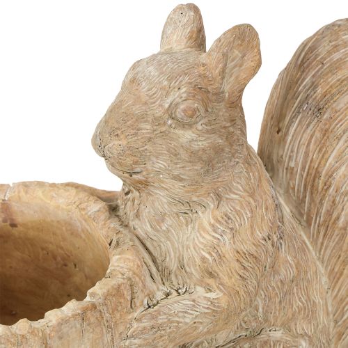 Artikel Plantekasse med egern støbt stendekoration 26×14×19 cm