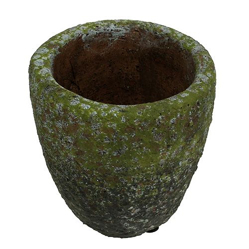 Floristik24 Plantemaskine med mos Ø10cm H10,5cm 4stk