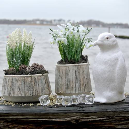 Floristik24 Plantekasse vase beton træ design Ø15cm