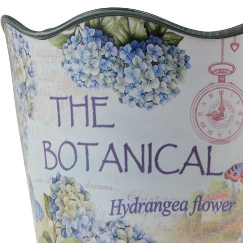 Artikel Plantekasse plast urtepotte sommerhortensia Ø16,5cm H13,5cm