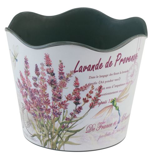 Artikel Plantekasse plast urtepotte sommer lavendel Ø16,5cm H13,5cm