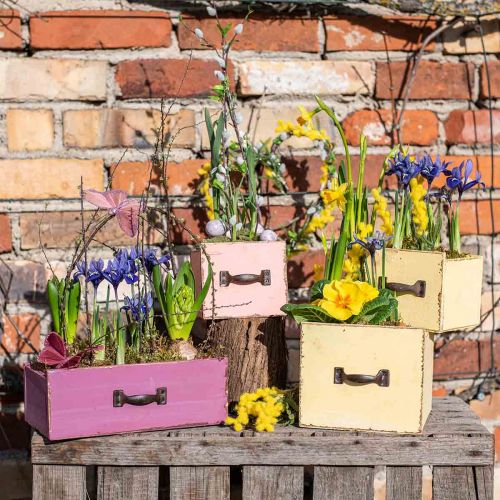 Floristik24 Plantekasse skuffe træ deco lilla 25×13×9cm