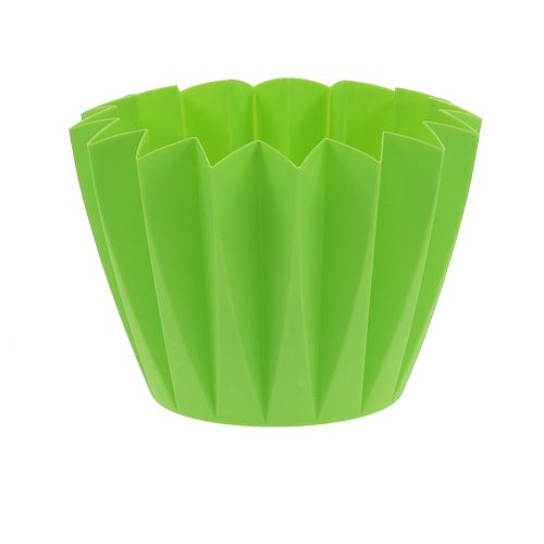 Floristik24 Potte Adonis Grøn 14cm 20 stk