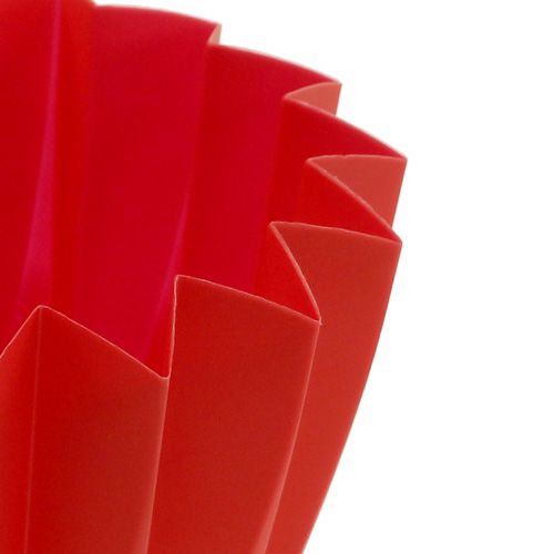 Floristik24 Pot Adonis Rød 11cm 20 stk