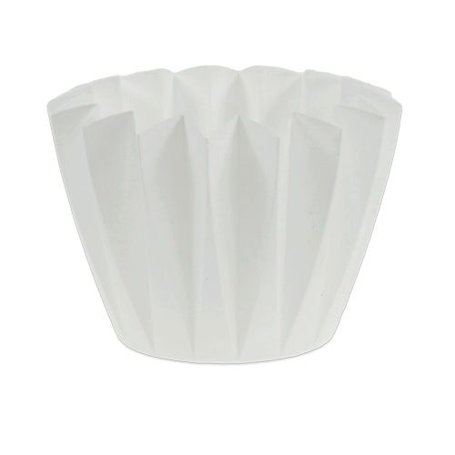 Floristik24 Potte Adonis hvid 14cm 20 stk