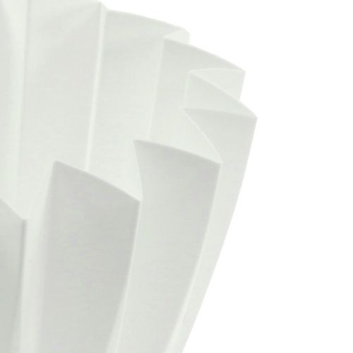 Floristik24 Potte Adonis hvid 14cm 20 stk