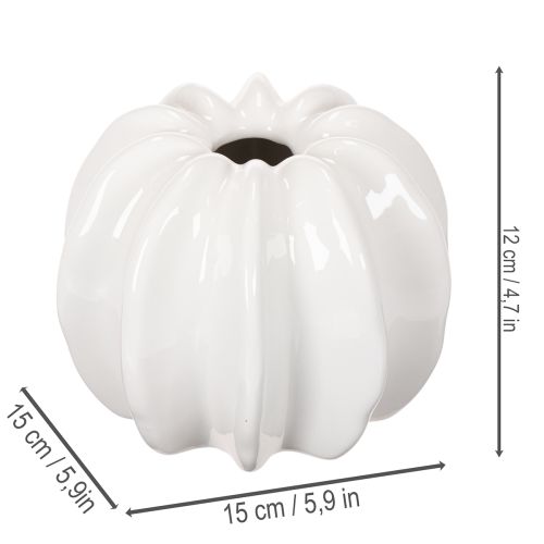 Græskar keramikvase, hvid, boligdekoration, 15 cm | Floristik24.dk