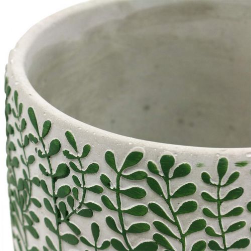 Floristik24 Plante med sarker, keramiske planter, planter, betonlook Ø20,5cm H17,5cm