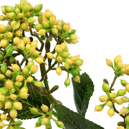 Floristik24 Viburnum bærgren 54cm gul 4stk
