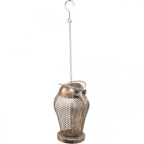 Floristik24 Vintage Lanterne Ugle Have Lanterne Fyrfadsstage Guld H29cm