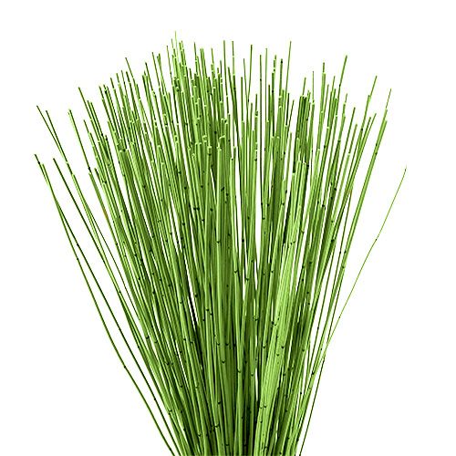 Floristik24 Vlei Reed 400g lysegrøn