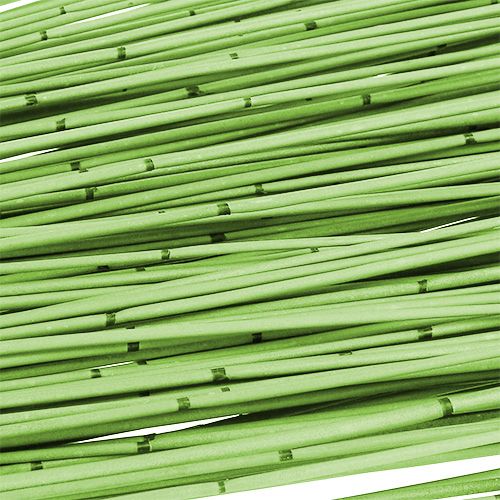 Floristik24 Vlei Reed 400g lysegrøn