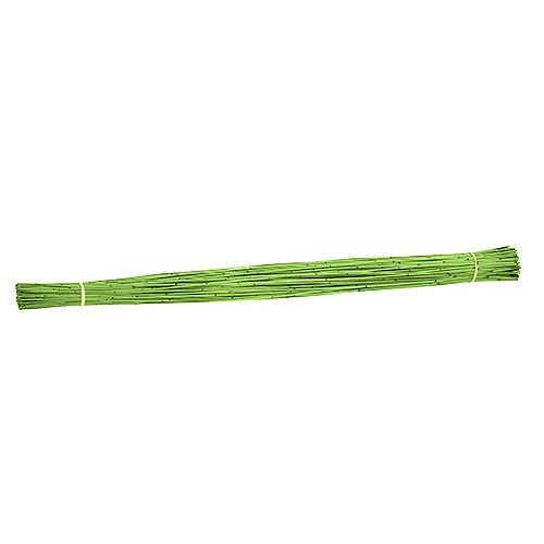 Floristik24 Vlei Reed 400g lysegrøn